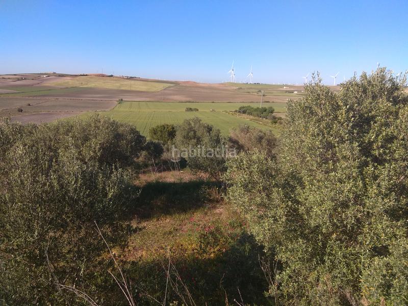 Foto 7ed6fd13-4bf0-4b39-8f32-bafe5ef97169. Finca rústica a Los Franceses - La Vega Chiclana de la Frontera