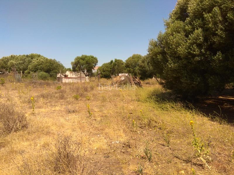 Foto 020ec771-1a80-45dc-9143-b1b9aa2bc223. Propriété dans Las Lagunas - Campano Chiclana de la Frontera