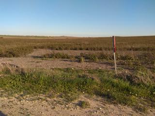 Propriété  N/a. Finca de riego de casi 10 hect en la junta de los rios jerez,