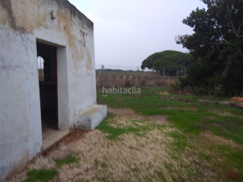 Foto 081af421-d4d6-4943-8863-2b7dadc1ec3a. Casa a Pelagatos - Pago del Humo Chiclana de la Frontera