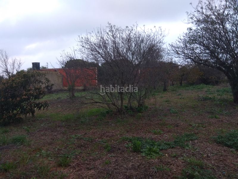 Foto 5c55b937-d3f1-4f74-94e4-3b1d45bcefcd. Casa a Pelagatos - Pago del Humo Chiclana de la Frontera
