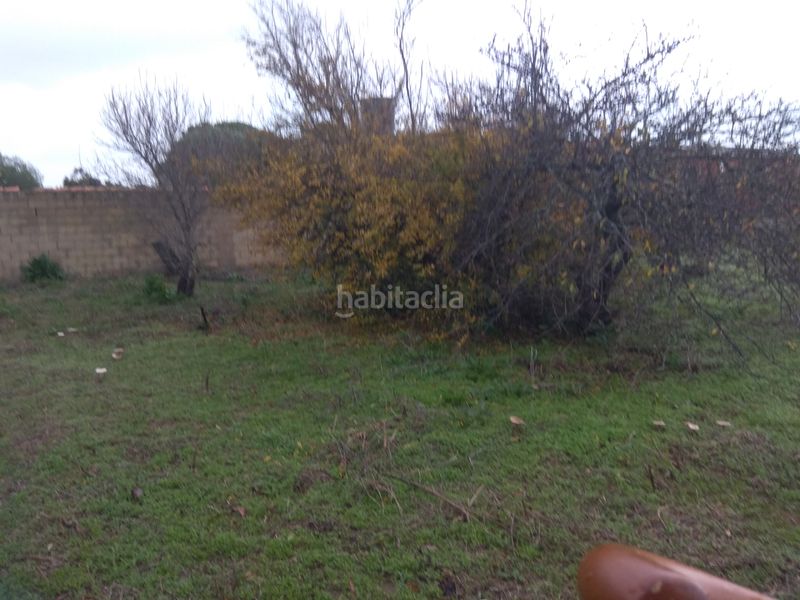 Foto 85b8a4f4-57fb-4a92-afe7-a04b2f439d32. Casa a Pelagatos - Pago del Humo Chiclana de la Frontera