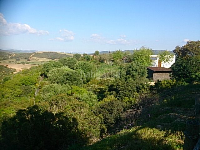 Foto 0c97aeaa-1d71-47d0-b578-49ef9c8356dd. Finca rústica a casco histórico - ribera - san basilio Córdoba