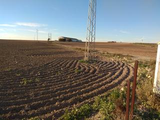 Rural plot in Carretera de Sanlúcar - Sudamérica. Finca de 40 alanza de tierra albariza nave, vivienda, luz, agua