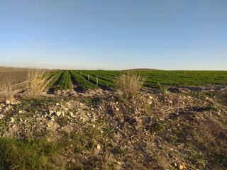 Finca rústica a Carretera del Marquesado