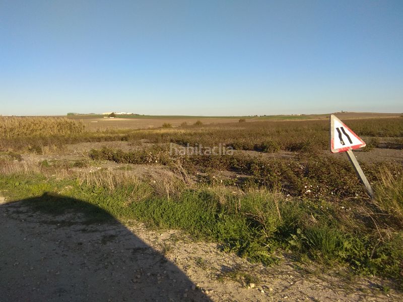 Foto c63d1a23-e84c-4d78-8ac9-aadf799a779c. Finca rústica a Las Lagunas - Campano Chiclana de la Frontera
