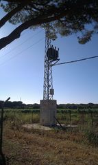 Fondo rustico  Carretera sevilla utrera. Finca de 20 hect de  olivos superintensivos. sevilla.