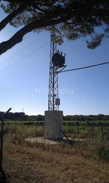 Foto a1de1d98-ee6f-4417-817b-cee8b28ea074. Finca rústica a Oromana Alcalá de Guadaira