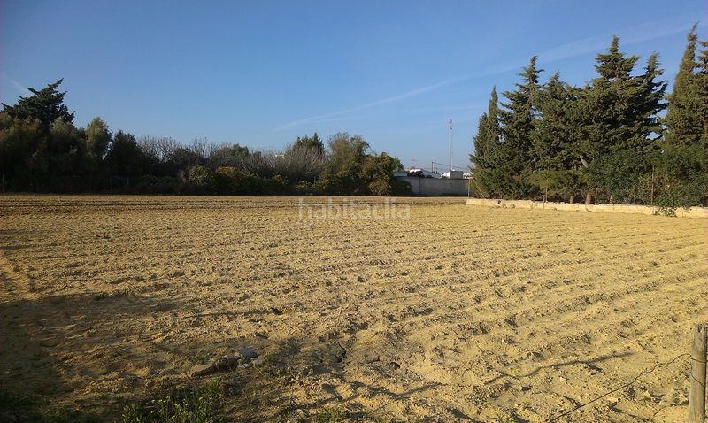 Foto e3a47263-04c3-496f-87ea-65b7b5962727. Finca rústica a Pelagatos - Pago del Humo Chiclana de la Frontera