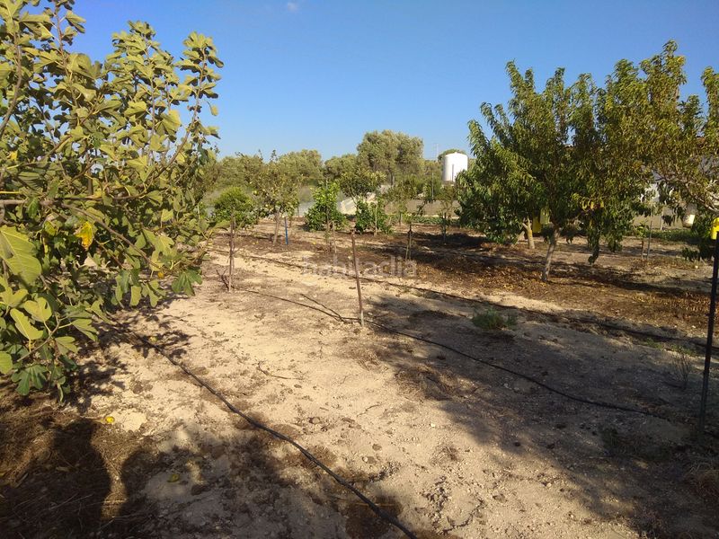 Foto 3692bb04-6589-4297-ab99-eda92b715baa. Finca rústica a Puente Mayorga-Campamento San Roque