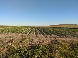 Finca rústica a Carretera Puerto Sanlucar