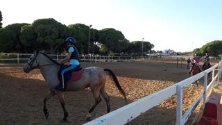Fondo rustico in Benalup