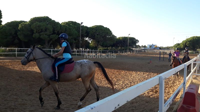 Foto a763d24e-5976-4b22-82f7-f0546835a2a0. Finca rústica en Benalup