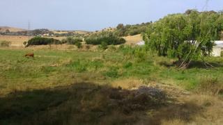 Masia a Benalup. Finquita de 35.000 m con casita campo tipo chalet. benalup.
