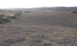 Finca rústica a Los Franceses - La Vega. Finca de 11 hect en la zona del berrueco  entre medina y chiclan