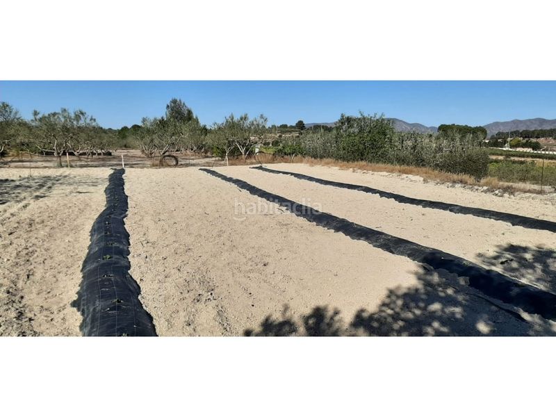 Foto 06651b8e-9eb2-4942-97b6-62f3e4ea63ac. Casa amb aparcament a Albaida