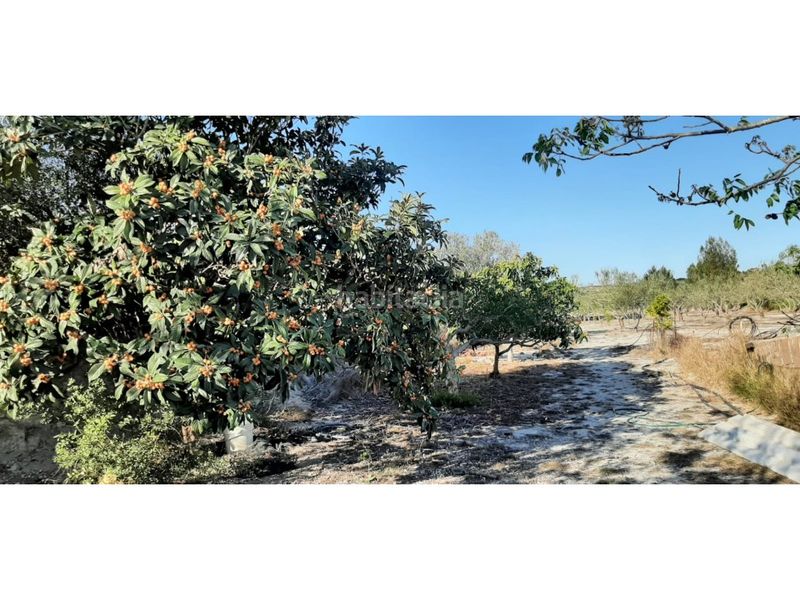 Foto 0cefec65-1aea-4688-ad53-5e26883b4dc0. Casa amb aparcament a Albaida