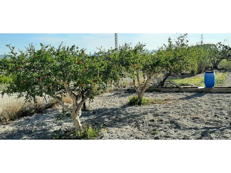 Foto 4372eebb-4b3c-4aaa-947e-1985e75b93c9. Casa amb aparcament a Albaida