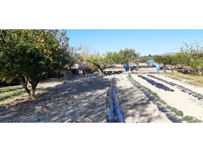 Foto 9f9edd80-3b03-4bfd-acbd-83c38e434084. Casa amb aparcament a Albaida