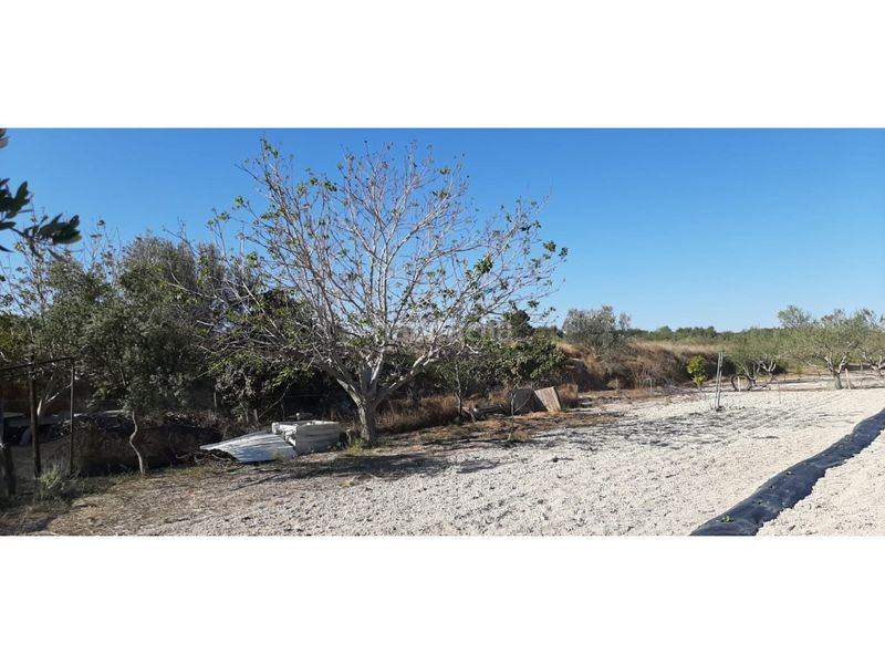 Foto b2c7890a-26da-4d6f-a41c-0f11290b195b. Casa amb aparcament a Albaida