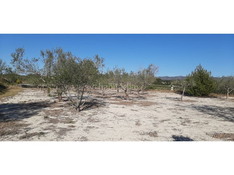 Foto d6a81c4b-69f6-4442-922b-b648686ecf3f. Casa amb aparcament a Albaida