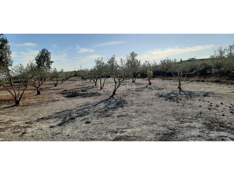 Foto e283e208-1fa9-46c6-9b03-80f27d350d98. Casa amb aparcament a Albaida