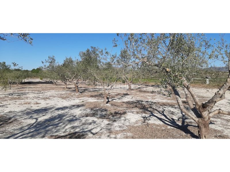 Foto eb058103-68c7-4601-819f-6063dd8f9331. Casa amb aparcament a Albaida