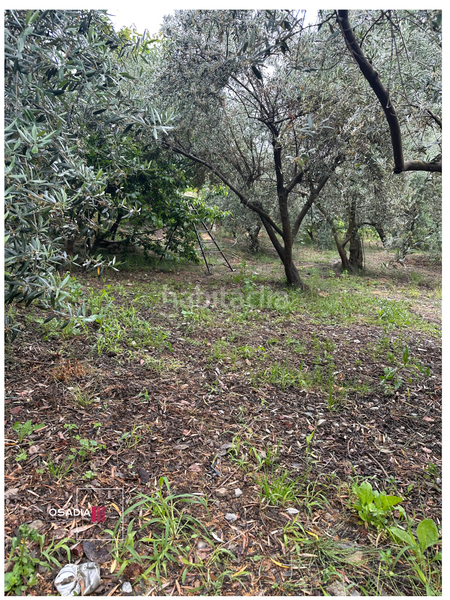 Foto 306108ba-a4fa-4323-b666-6906d23af0d9. Propriété dans Monachil pueblo Monachil