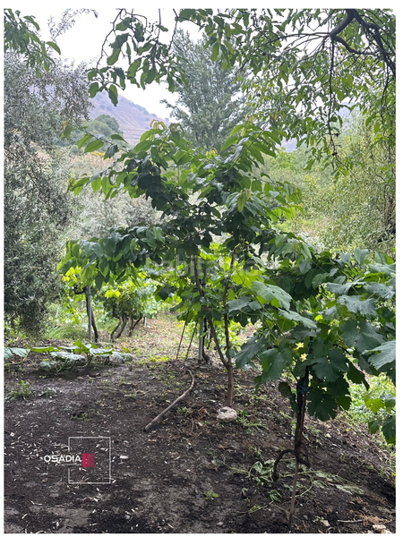 Foto 47d5d209-2851-4e61-bbb5-dc96f0094c39. Propriété dans Monachil pueblo Monachil