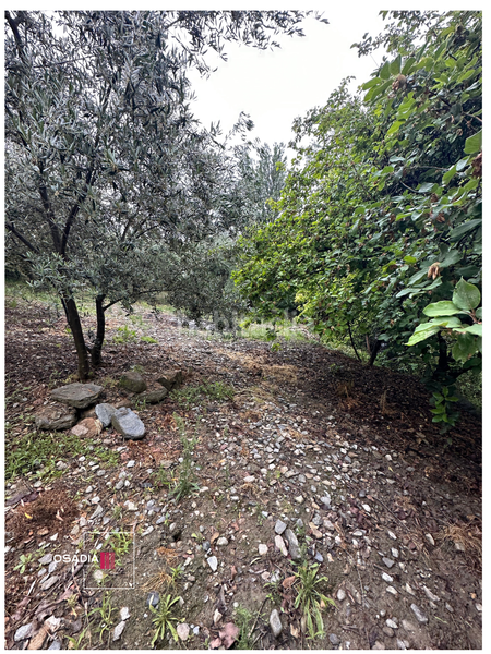 Foto 47ff7266-8f42-4dfa-ab0f-f4192689c1b7. Propriété dans Monachil pueblo Monachil