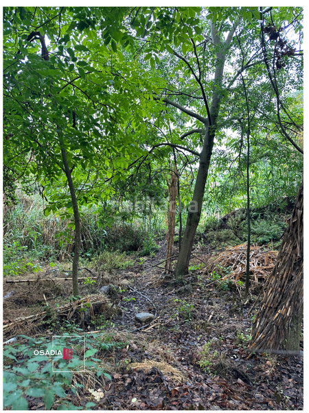 Foto 5052ea19-eb86-4dec-a320-57a2ee449b68. Propriété dans Monachil pueblo Monachil