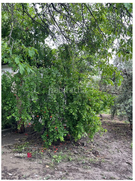 Foto 51b8da4f-fdca-44a0-a821-9d0557095427. Propriété dans Monachil pueblo Monachil