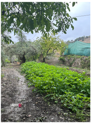 Finca rústica a Monachil Pueblo. Terreno en zona inmejorable de monachil