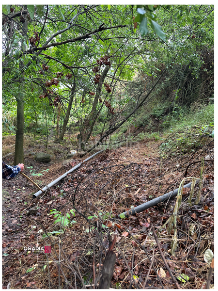 Foto 67145bb8-2da9-4fd7-bb6b-804f2a5cd30f. Propriété dans Monachil pueblo Monachil