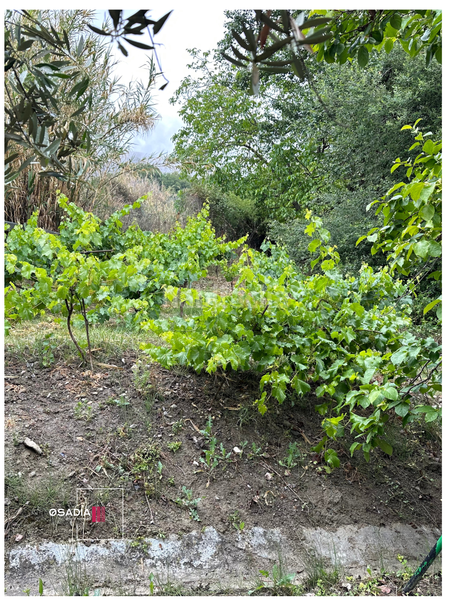 Foto 8772ce80-5bd7-4827-884a-fb09beb145e2. Propriété dans Monachil pueblo Monachil