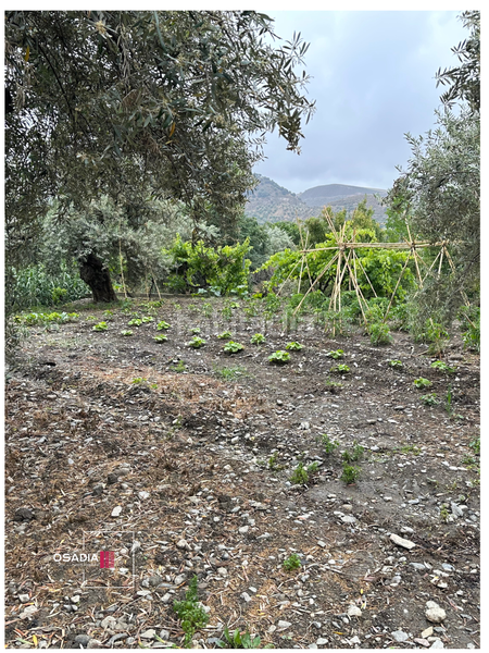 Foto d3de1728-d0a4-43be-ae07-0df72b9b2e6a. Propriété dans Monachil pueblo Monachil