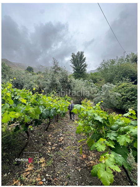 Foto f0b11514-3345-4fa4-9c6e-9a269373c35b. Propriété dans Monachil pueblo Monachil