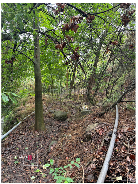 Foto f499152b-550c-435d-b712-077515d5bd51. Propriété dans Monachil pueblo Monachil