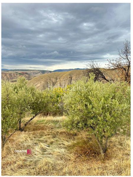 Foto 93202497-2068-418d-ab97-790a0f24f582. Fondo rustico in calle tars tam 30 in Monachil pueblo Monachil