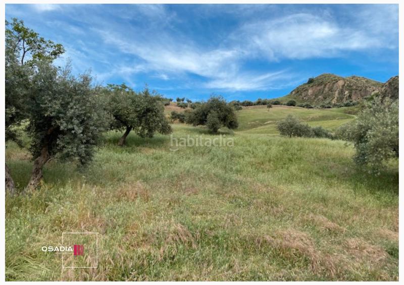 Foto 0508d5a2-dd5d-4d52-94e3-f0656b824de8. Propriété dans Monachil pueblo Monachil