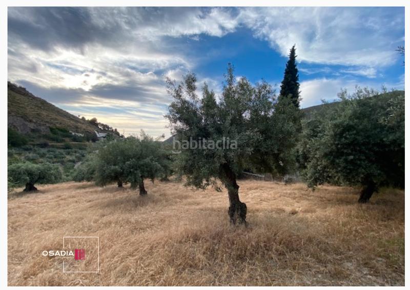 Foto 1f8c9375-3298-487f-bd1c-3a0166eb56fc. Propriété dans Monachil pueblo Monachil