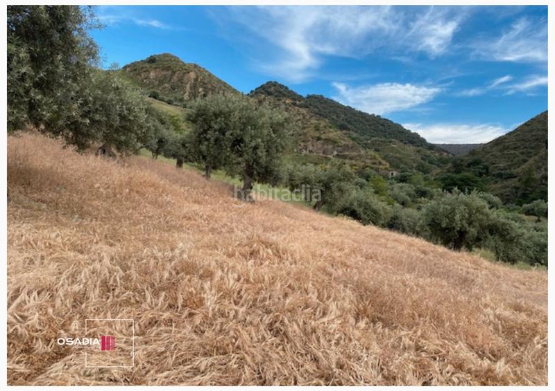 Foto 2803abbc-8785-4773-a13f-2882310905d3. Propriété dans Monachil pueblo Monachil