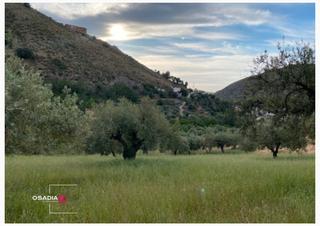 Finca rústica  Calle la cuesta. Gran oportunidad de solar en zona inmejorable!