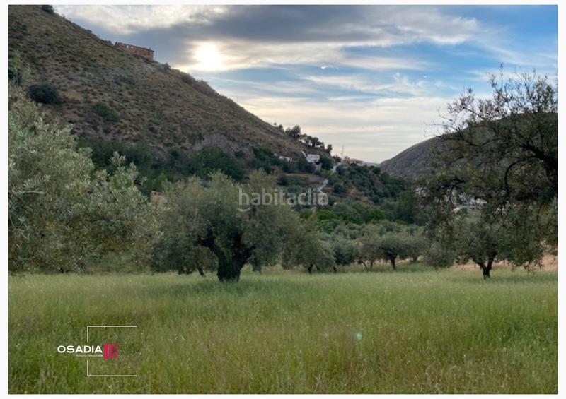 Foto 3a431d49-f8df-4a5c-bbfb-8612e1074d8d. Propriété dans Monachil pueblo Monachil