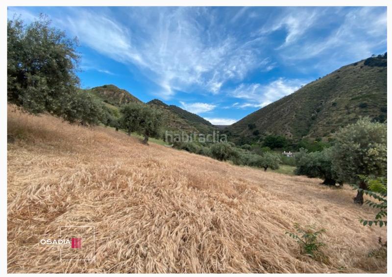 Foto 55c8af3d-b4cf-4924-a89f-0d05bdb394b7. Propriété dans Monachil pueblo Monachil