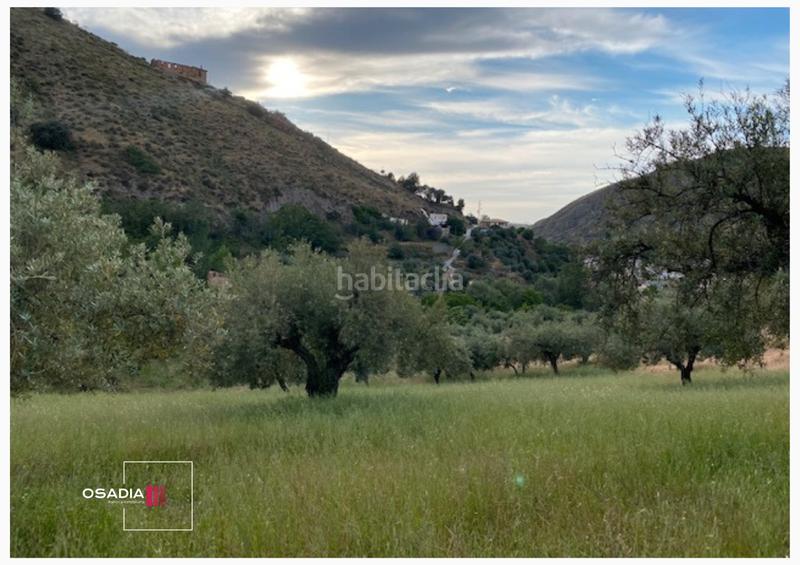 Foto 5a0f5006-ccfc-4b0e-b5db-179cd45e7f26. Propriété dans Monachil pueblo Monachil