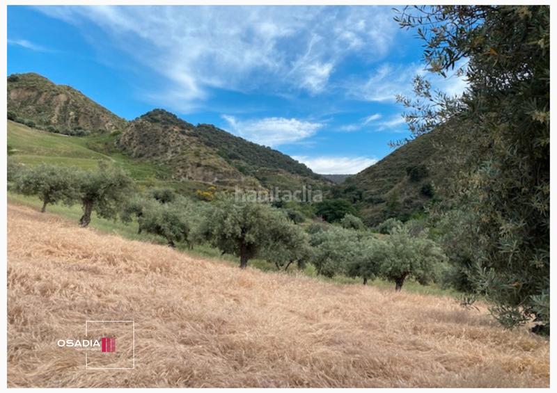 Foto 5b1c33c0-3552-4e84-ba89-893c901eb0c2. Propriété dans Monachil pueblo Monachil