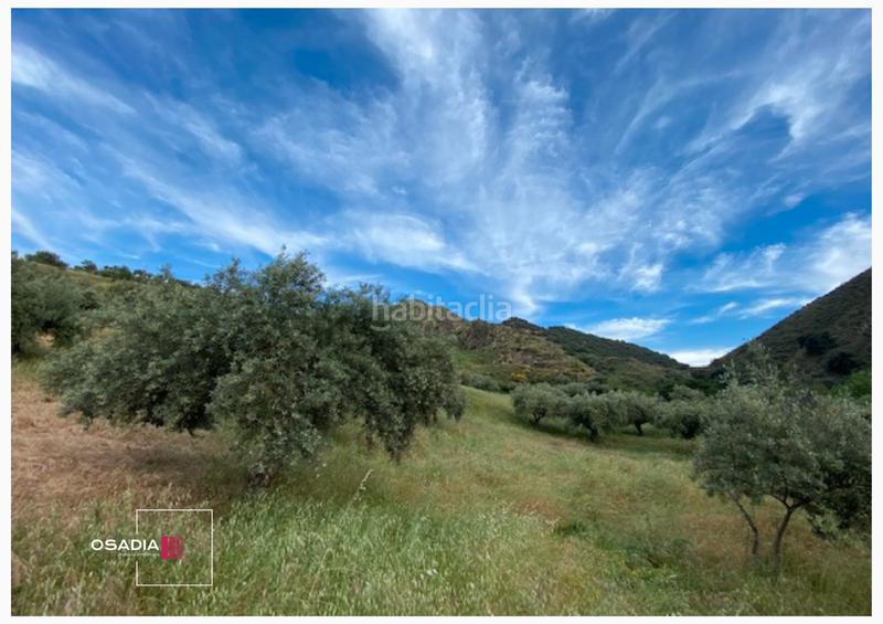 Foto 665e53c0-bd4d-4aa5-99e7-a241a7becce9. Propriété dans Monachil pueblo Monachil