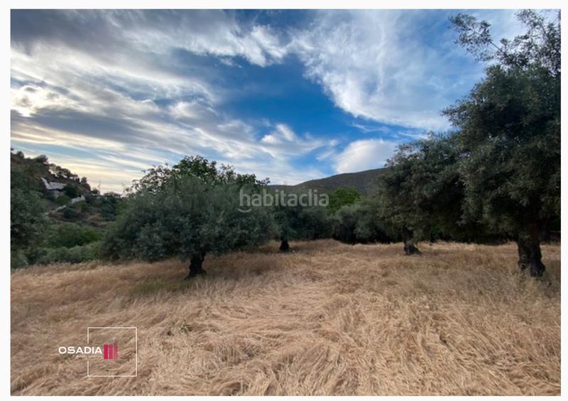 Foto 7de1cacc-d417-41e4-81c3-edf02d8480fb. Propriété dans Monachil pueblo Monachil