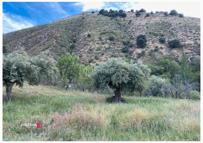 Foto 813fd9d8-a8d7-4e14-97fa-3d77fadef865. Propriété dans Monachil pueblo Monachil